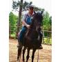 June 13, 2026 Horsesale