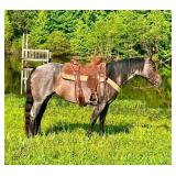 Roan Mare