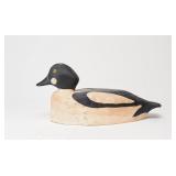 Goldeneye Drake - Ernest Ouimet