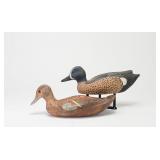 Two Bluewing Teal, one Jason LeGaux