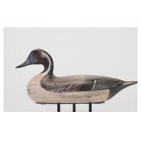 Charlie Moore - Pintail Drake