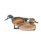 Marty Hanson - Bluewing Teal Pair