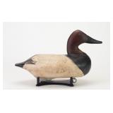 Evans McKinney - Canvasback Drake