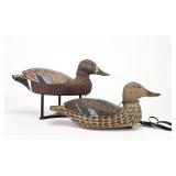Roy Pelegrin - Bluewing Teal Pair