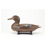 D.C. Robichaux - Mallard Hen