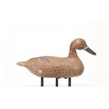 Unknown Louisina - Mallard Hen