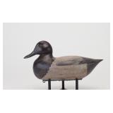 Charlie Moore - Bluebill Drake