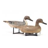 Pintail Pair California