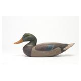 Rock Zeringue - Mallard Drake