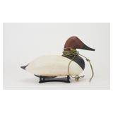 Robert Litzenburg - Canvasback Drake