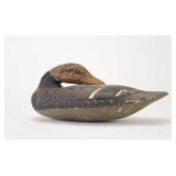 Jules E. Frederick - Preening Black Duck