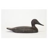 Black Duck