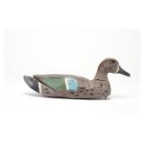 Bluewing Teal Drake