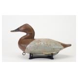 Scott Jackson - Canvasback Hen