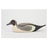 Pat Gregory - Pintail Drake