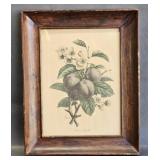 Plum Tree Branches by Benoit Chirat