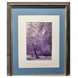 Framed Photo of Tree in Snow