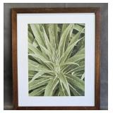 Tropica Tree Echium by Boyce Watt