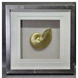 Sea Shell Shadow Box
