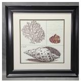 Sea Shell Print