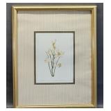 Framed Botanical Print