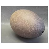 an emu egg