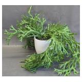 artificial cascading staghorn fern in white pot