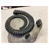 Trilobite drotops 3 fossils in one