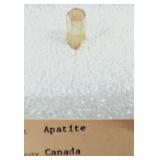 Apatite Small But Stunning