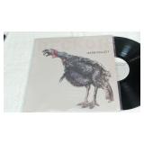 Reckon Jason Collett