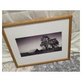 Old Barn Framed Photo