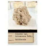 Calcite var. Calcareous Tufa from California #s93e