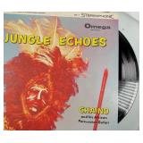 Jungle Echoes - Chaino and his African Percussion