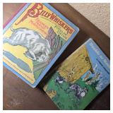 Lot of 2 Vintage Children's Books: Billy Whiskers