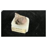 Rhodonite