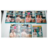 Tulip Big and Easy Iron-On Transfer Sheets, Set of