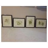 Framed Wall Art
