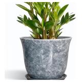 Ceramic Pots for Plants - 10 Inch Plante