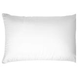 IHG Touch of Down Pillow Found in Holida