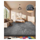 Ophanie Area Rugs for Living Room Bedroo