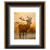 AUEAR,11x14 Picture Frame for 8x10 Photo