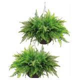 QIANYUN 2X Boston Ferns 20in Fake Hangin