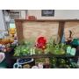 Saturday evening live auction 