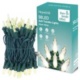 Heyworld 50 LED Slow Twinkle Lights, Soft Twinklin