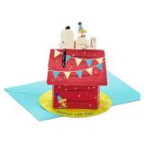 Hallmark Paper Wonder Peanuts Pop Up Birthday Card