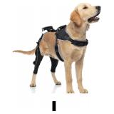 LISPOO Dog Knee Brace for ACL/CCL Injuries,Torn Li