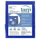 12 x 12 Ft. All-Purpose Protection/Coverage 5-mil