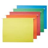 Amazon Basics Hanging Organizer File Folder, Lette