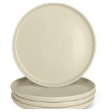 Amazon Basics Glazed Stoneware Dinner Plates, 4-Pi