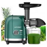 Vegetable Juicer for Celery Wheatgrass Spinach Gin